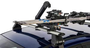Ski Carrier - 2 skis