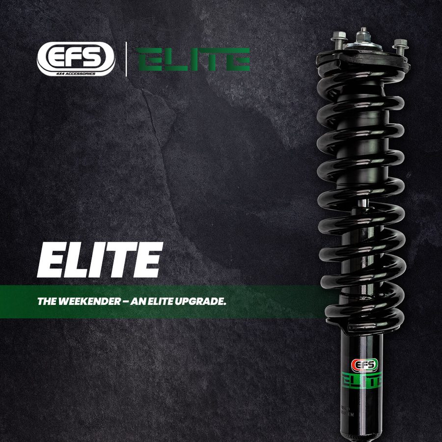 EFS Elite shock absorber and strut for daily driving and light touring